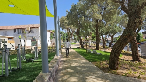פרוייקט לב השדרה (10).JPG