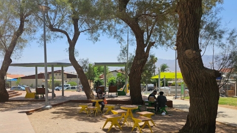פרוייקט לב השדרה (11).JPG