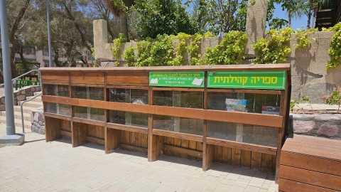 פרוייקט לב השדרה (6).JPG