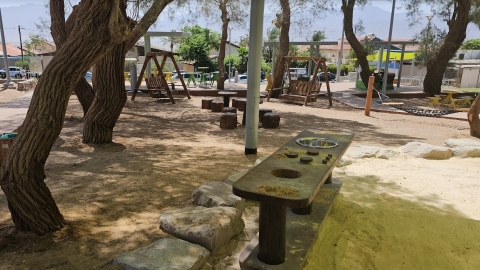 פרוייקט לב השדרה (3).JPG