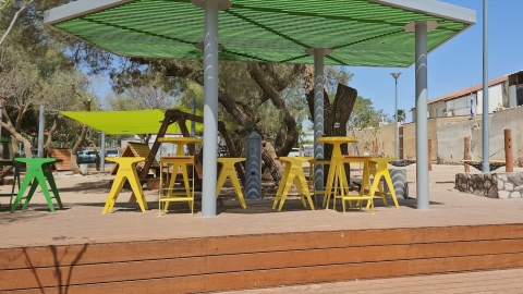 פרוייקט לב השדרה (13).JPG