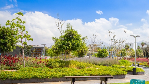 גינת מטוסים צילום סטודיו קשת .jpg